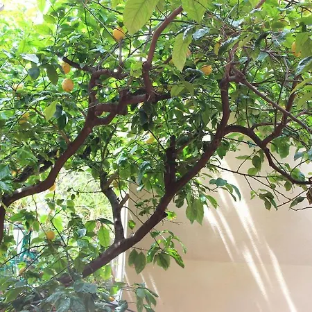 Tagliaferro Aparthotel Marciana Marina (Isola d'Elba)