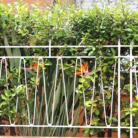 아파트호텔 Tagliaferro 3*